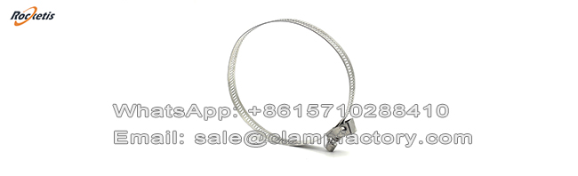 Abrazaderas de acero inoxidable 6