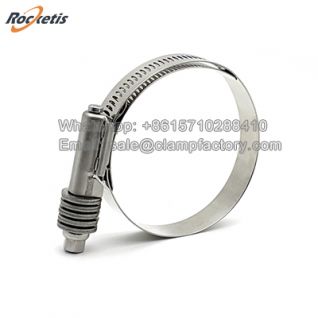 Constant Torque Hose Clamps