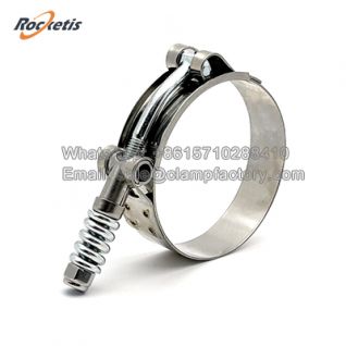 Wholesales Spring Loaded Hose Clamps
