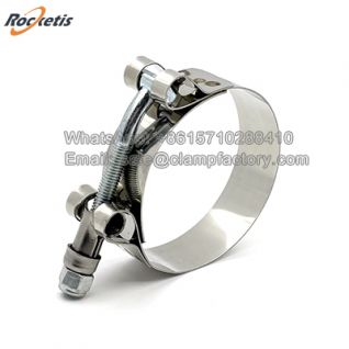 W2 T Bolt Clamp Manufacturer in China