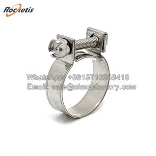 Stainless Steel Mini Hose Clips